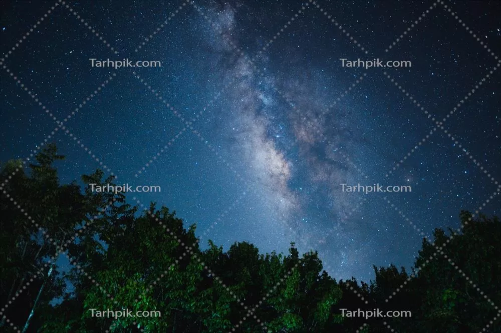 صحنه شب با کهکشان میهبان و درختان در پسزمینه آسمان تاریک
