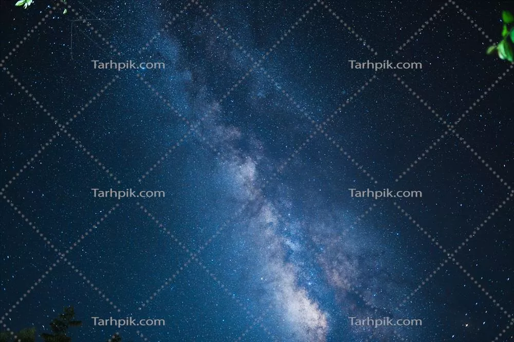 صحنه شب با کهکشان راه شیری و درختان در برابر آسمان تاریک