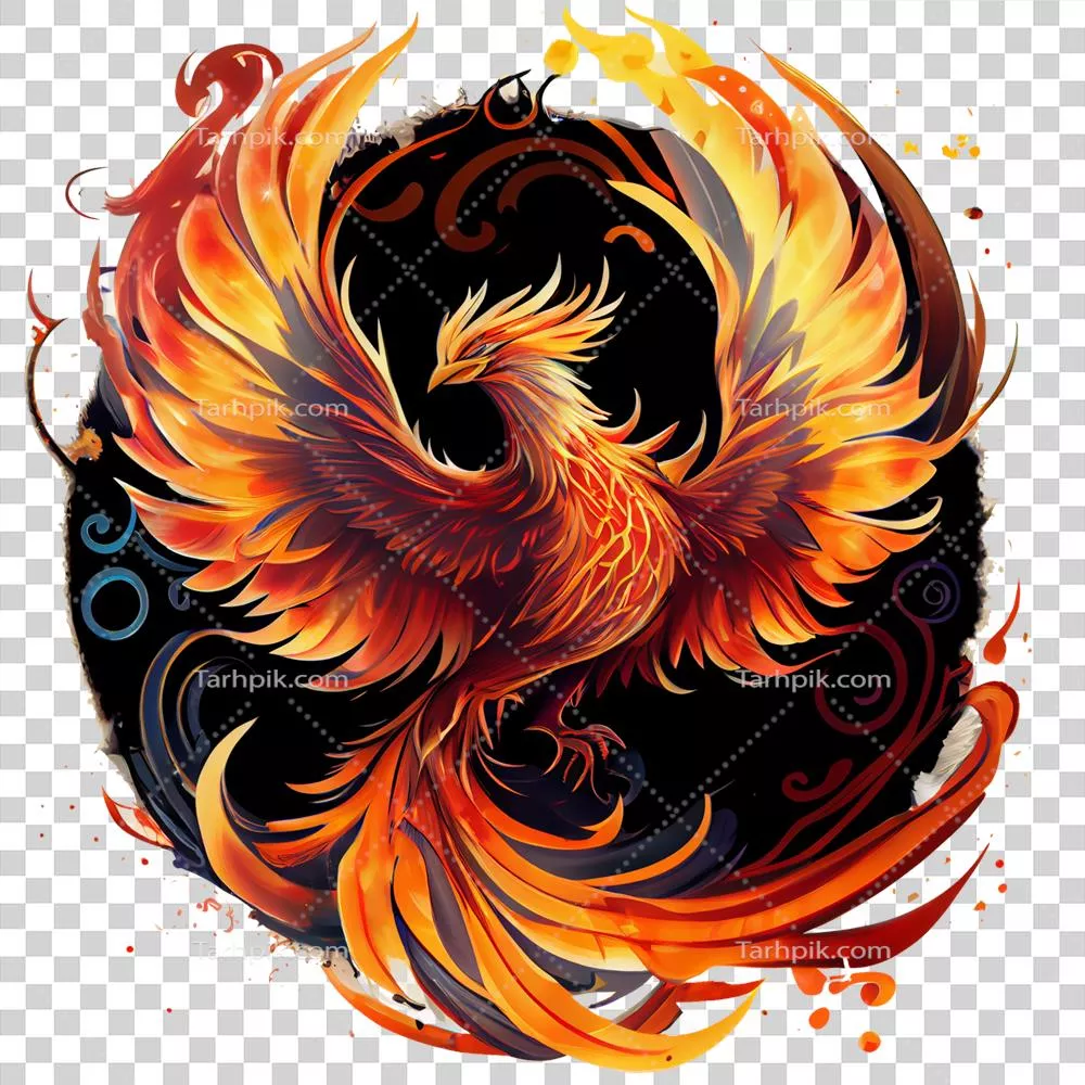 شخصیت افسانهای و اسرارآمیز: پرنده ققنوس بر روی پسزمینه شفاف