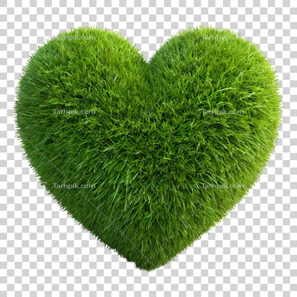 تصویرگری چمن سبز به شکل قلب با زیبایی و ظرافت خاص