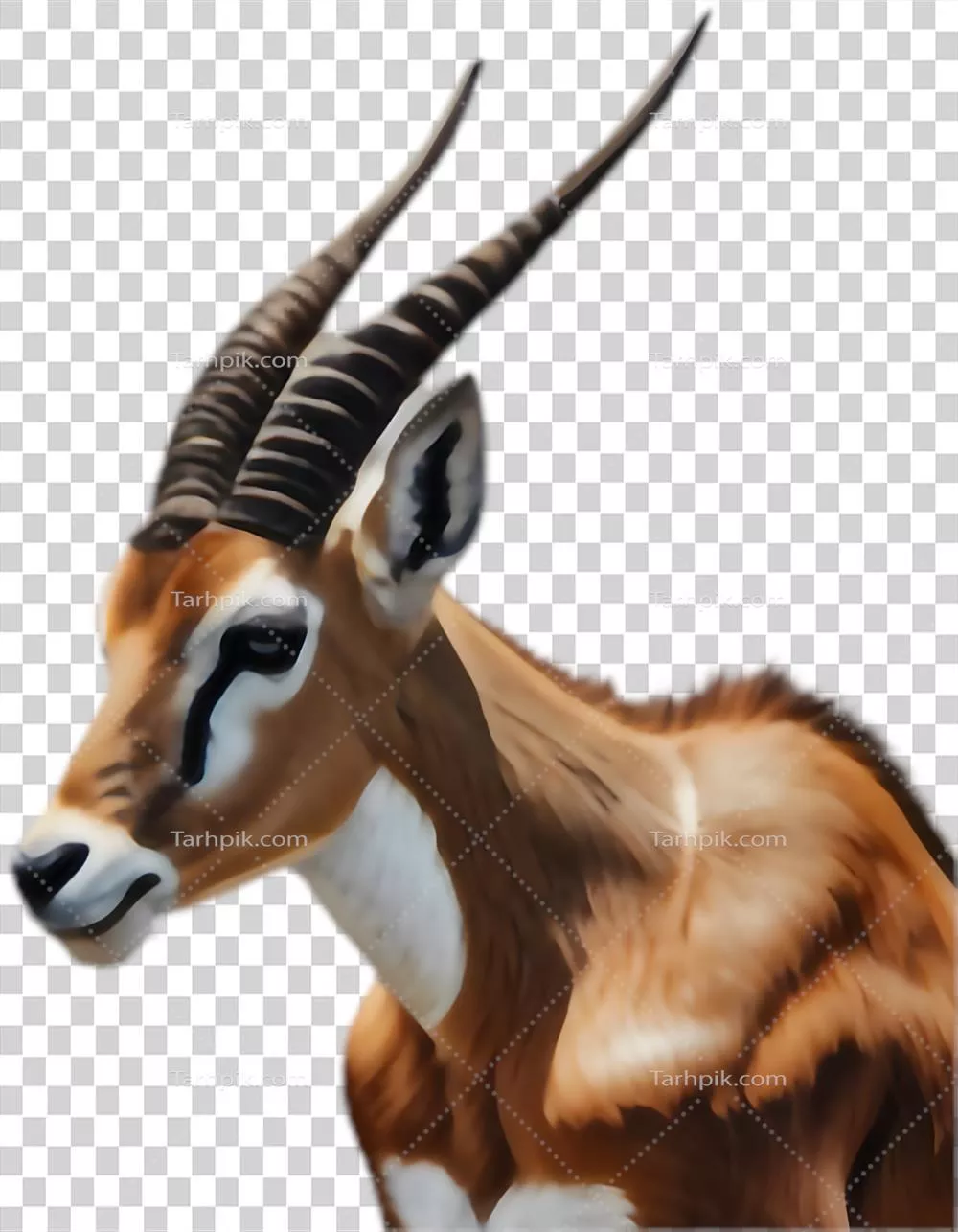 تصویر زیبایspringbok، ایده‌آل برای سافاری و سفر در طبیعت