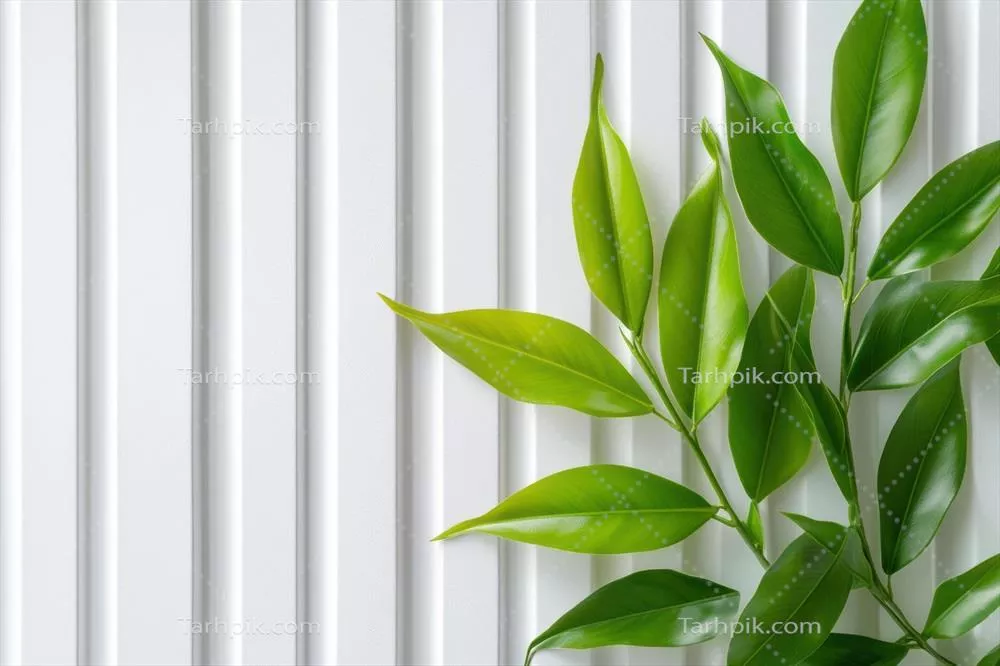 برگهای سبز سرسبز در برابر پسزمینهای سفید و بافتدار در یک محیط مدرن