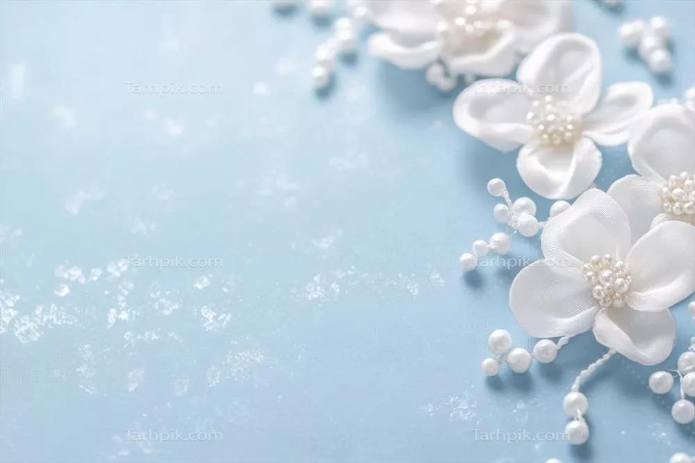 چیدمان گل های سفید با ظاهر زیبا بر روی زمینه آبی ملایم برای تزئینات