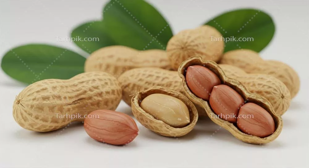 انباشته‌ای از بادام‌زمینی کامل و پوست‌کنده با برگ‌های سبز بر روی زمینه سفید