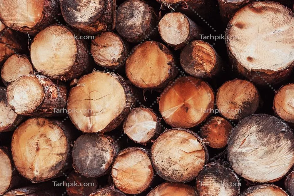 نزدیکنگری بافت چوب در نمای جلو از دستهای از logs آماده برای زمستان