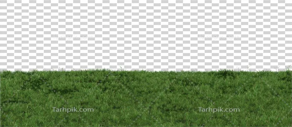 گرافیک طراحی سه بعدی با تصویر چمن در پس زمینه شفاف و حاشیه برش خورده