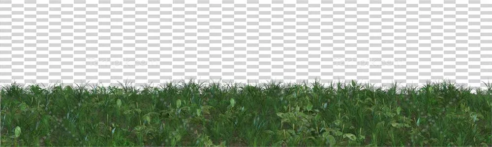 طراحی گرافیکی عنصر 3D با چمن روی پسزمینه شفاف به عنوان لبه کادر