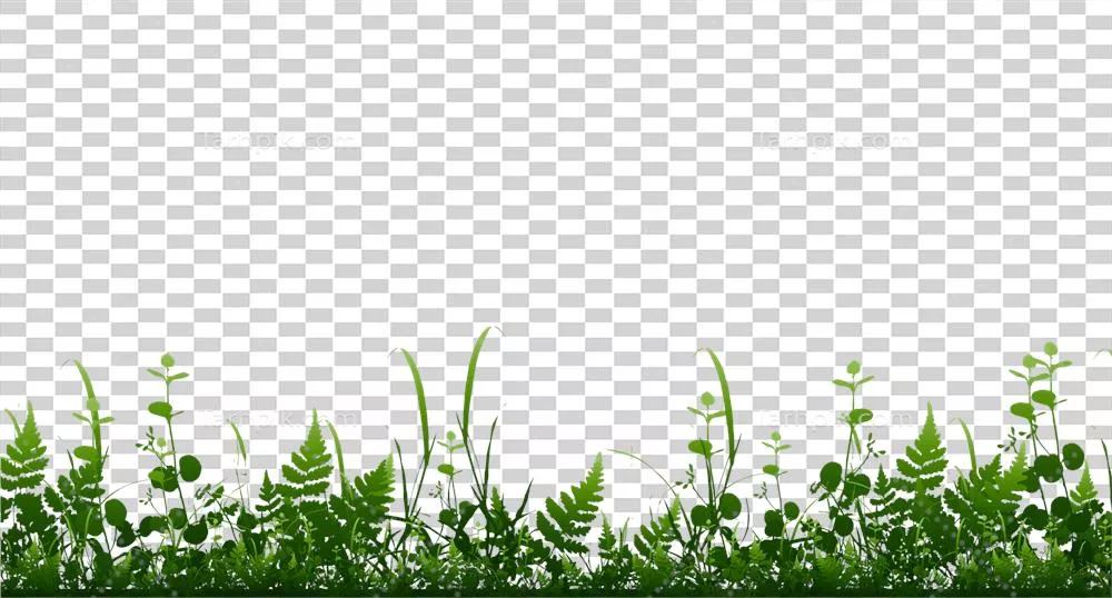 حاشیه واقعی و درخشان چمن سبز روشن بر روی پسزمینه شفاف