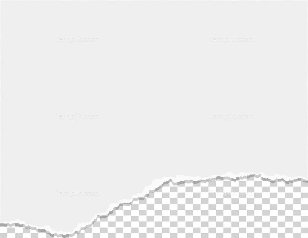 برگهای پاره شده و تکه های کاغذی نتبوک: دنیای خلاقیت و هنر کاغذ