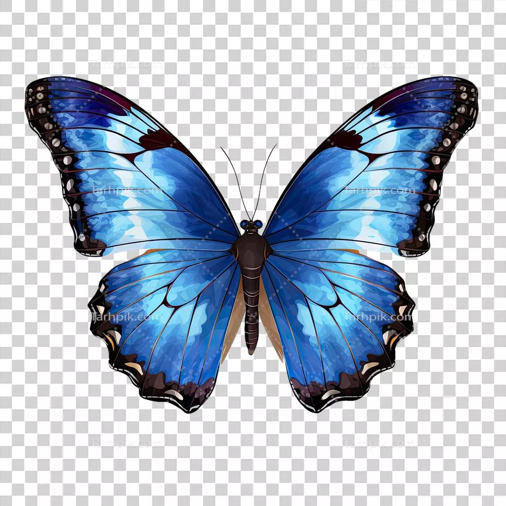 پروانه آبی زیبا تولید شده توسط هوش مصنوعی بر روی پس‌زمینه شفاف
