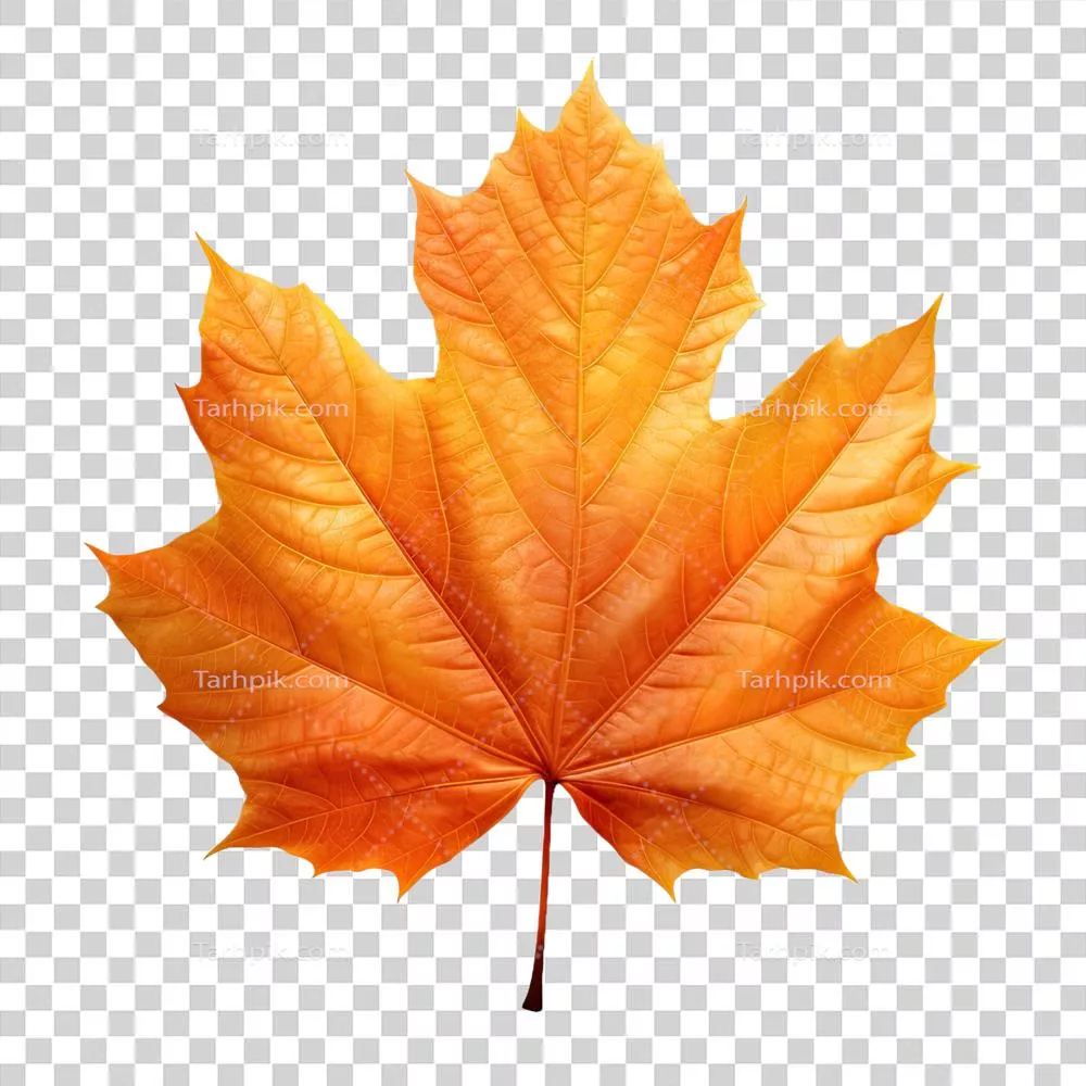 برگ پاییزی تولید شده توسط هوش مصنوعی بر روی پس زمینه شفاف