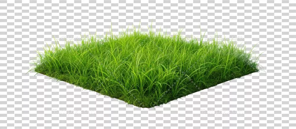 چمن کوچک سبز و مربعی شکل مصنوعی با طراحی طبیعی واقعی بر روی پسزمینه شفاف