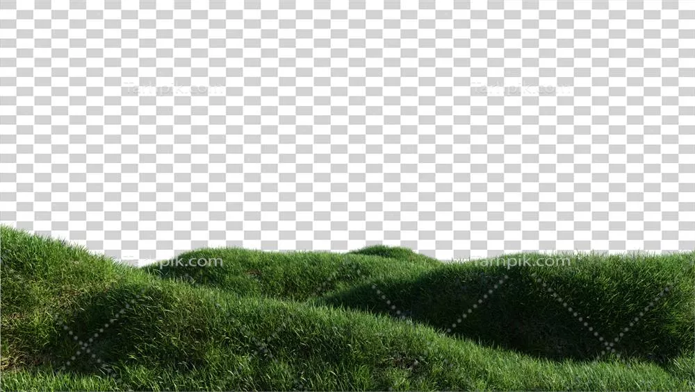 تنوع و زیبایی چمنزارهای سبز و سرسبز در طبیعت