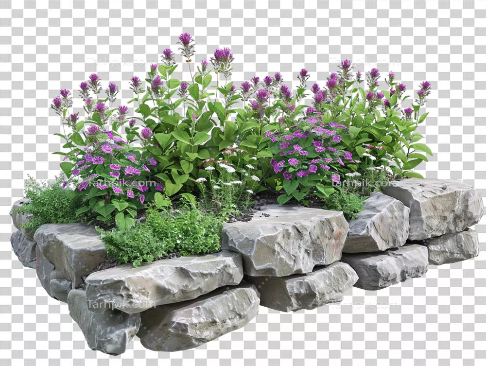 یک باغ گل رنگارنگ با حاشیه سنگی زیبا و جذاب
