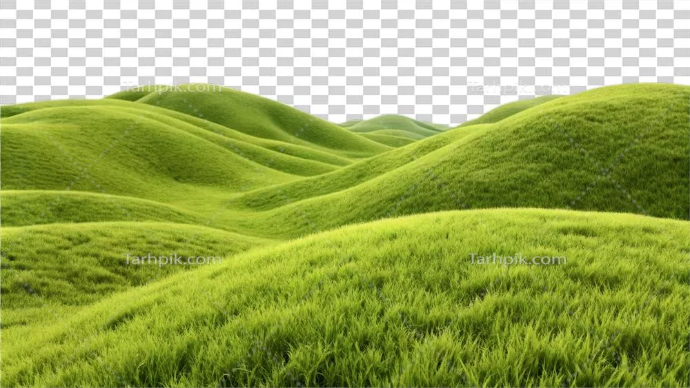 تپه‌های سبز و سرسبز پوشیده از چمن‌های پرجنب و جوش و زنده