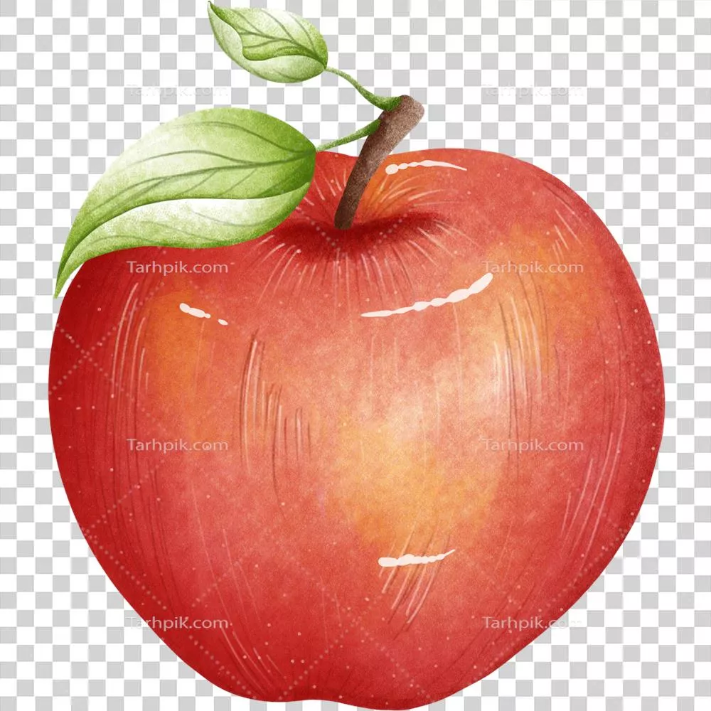 سیب‌های خوشمزه و قرمز: طعم و فواید آنها برای سلامتی