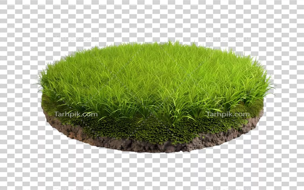 پچ گرد علفی جداشده بر روی پسزمینه شفاف