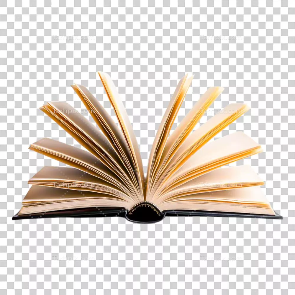کتاب باز با صفحات جداشده و تابش نور بر روی کاغذ