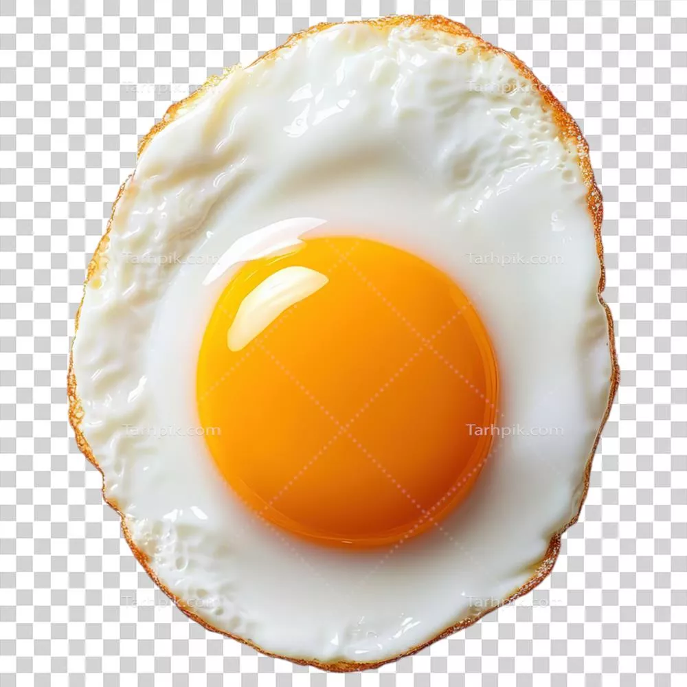 تخم‌مرغ سرخ‌شده خوشمزه بر روی پس‌زمینه شفاف | وعده‌ی غذایی سالم