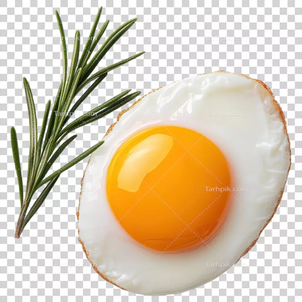 تخم‌مرغ سرخ‌شده روی پس‌زمینه شفاف با شاخه رزماری تازه و صحنه‌ای دلنشین