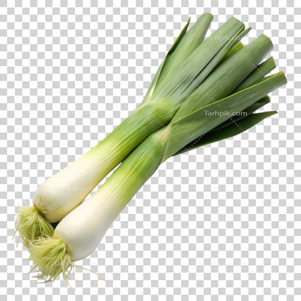 تره‌فرنگی تازه و برداشت‌شده، ایده‌آل برای استفاده‌های آشپزخانه‌ای و غذاهای گیاهی