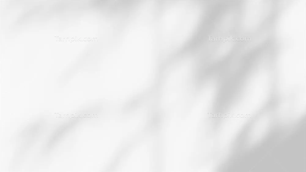 افکت سایه‌ی برگ بر روی پس‌زمینه‌ی سفید با سایه‌های برگ‌های گرمسیری