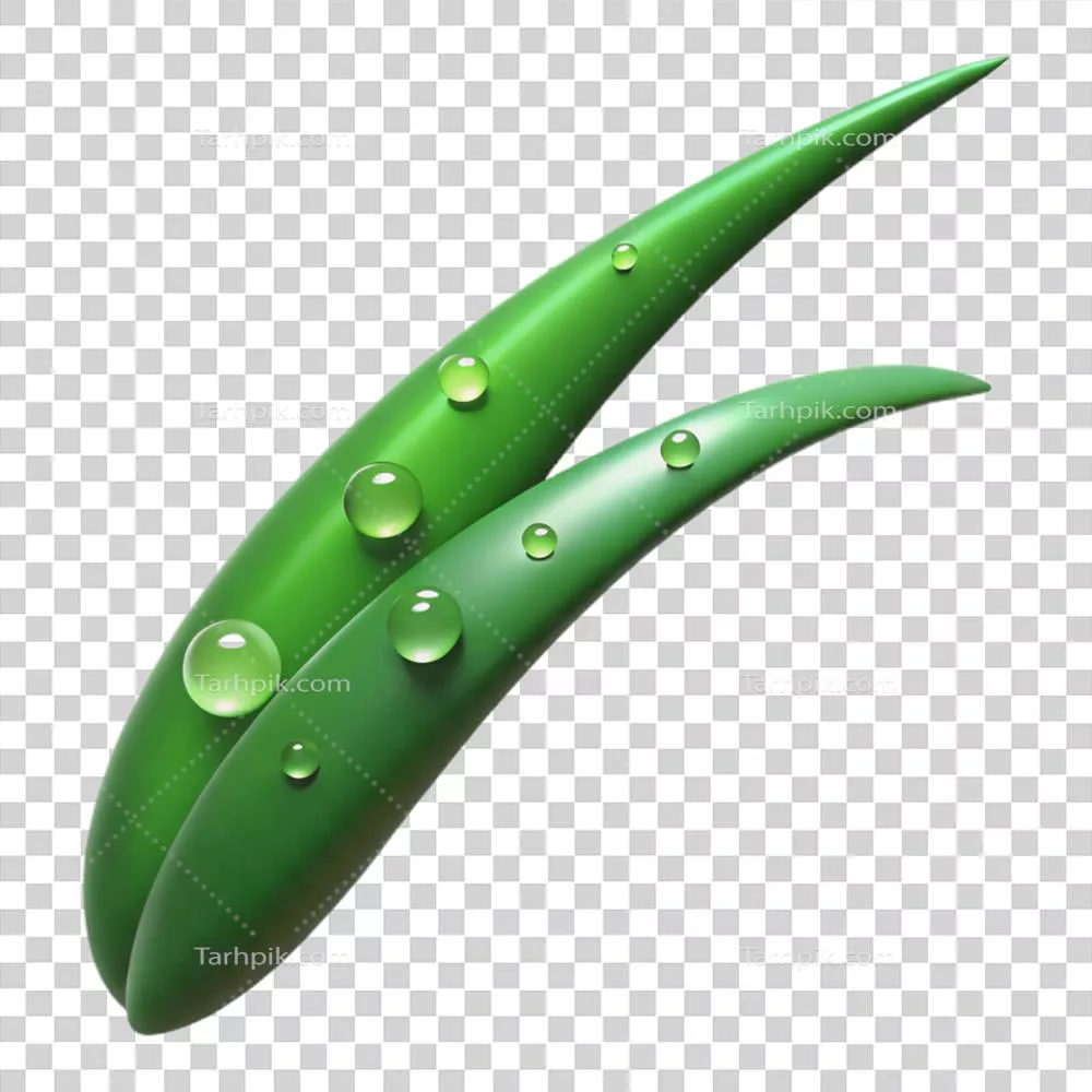 تصویر فوقالعاده دقیق و مدرن از یک تیغه چمن با قطرات شبنم در زمینه شفاف