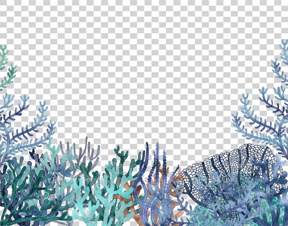 زندگی زیر آب: عنصر مرجان رنگی آبرنگی در اقیانوس