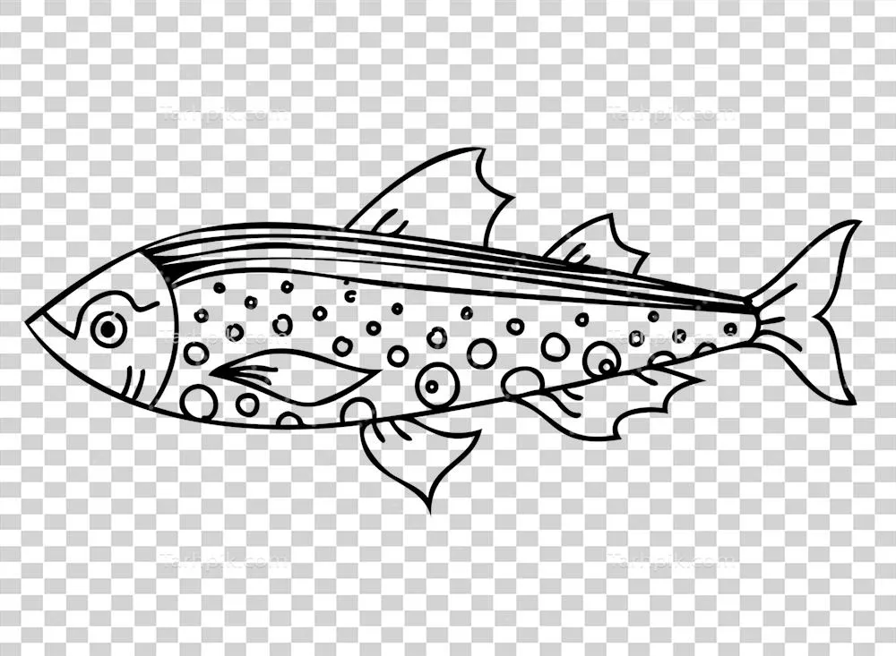 تصویر ماهی با پس‌زمینه شفاف و موجودات زیر آب