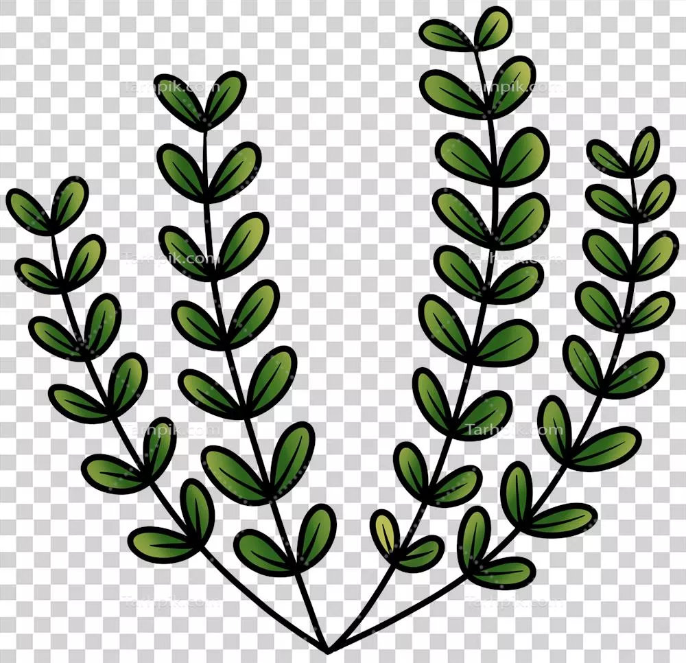 تصاویر کارتونی و رنگی از حیوانات دریایی و زندگی زیر آب