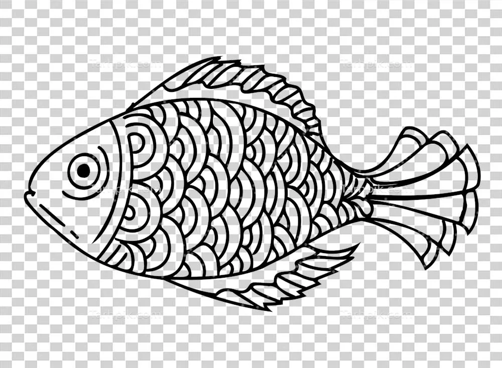 تصویر ماهی: موجودات زیر آب با پسزمینه شفاف و جذاب