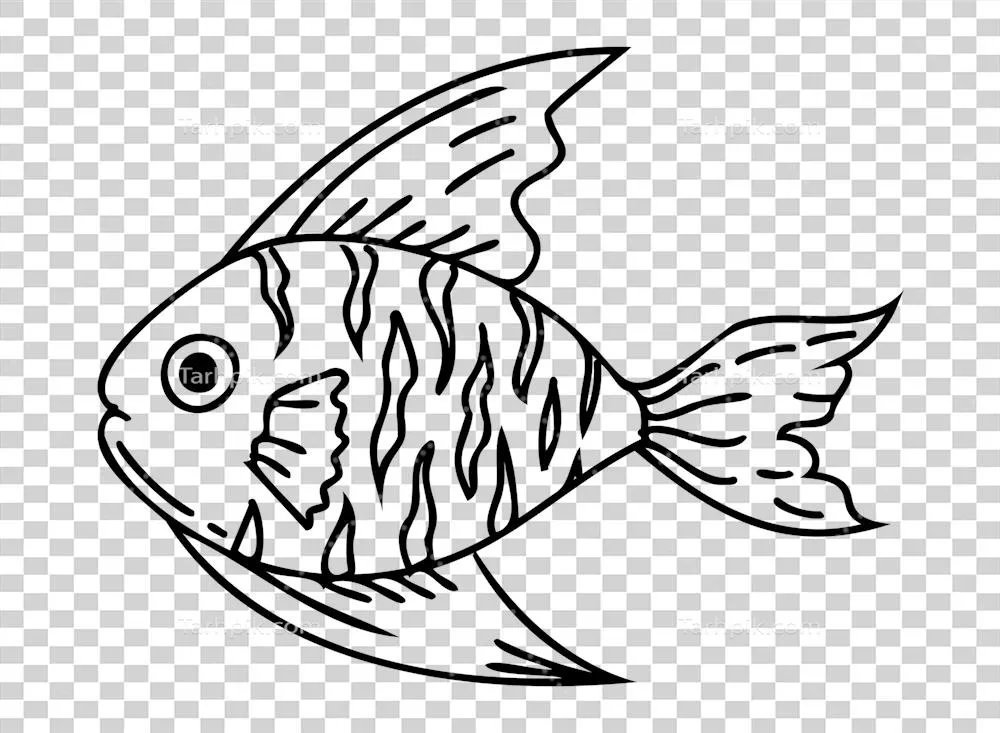 تصویر ماهی: موجودات زیر آب با پس‌زمینه شفاف