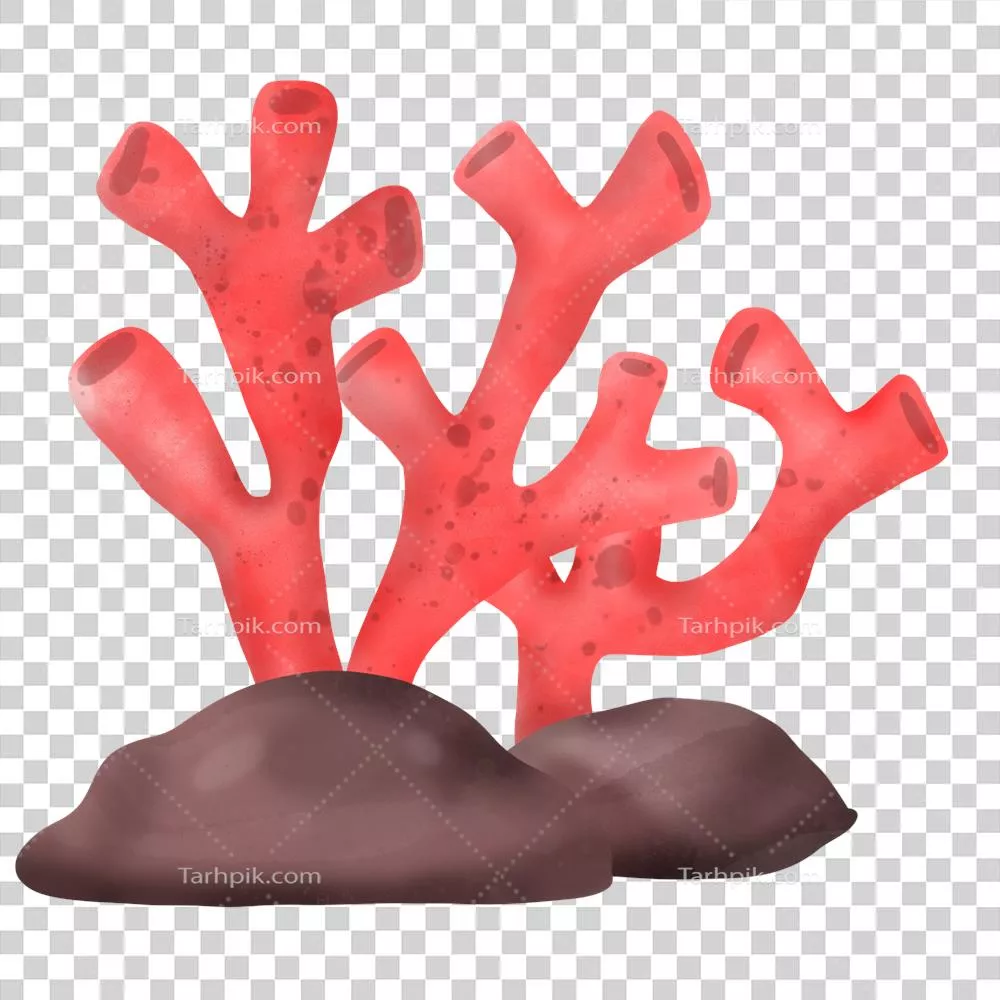 تصویر آبرنگی از مرجان‌های زیبا و دوست‌داشتنی در زیر دریا