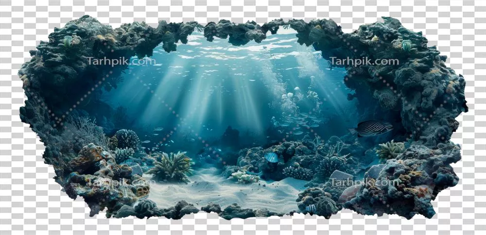 زندگی مرجانی در برابر سطح اقیانوس: تخلیص تصویری و تماشایی