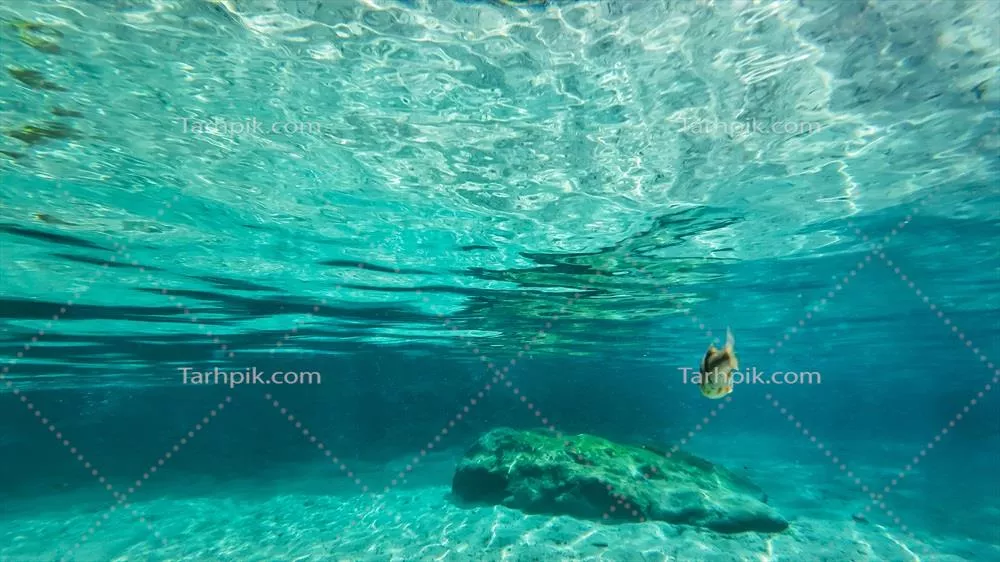 متن زیر آب رنگ فیروزه ای با نمای عریض و جزییات بی نظیر