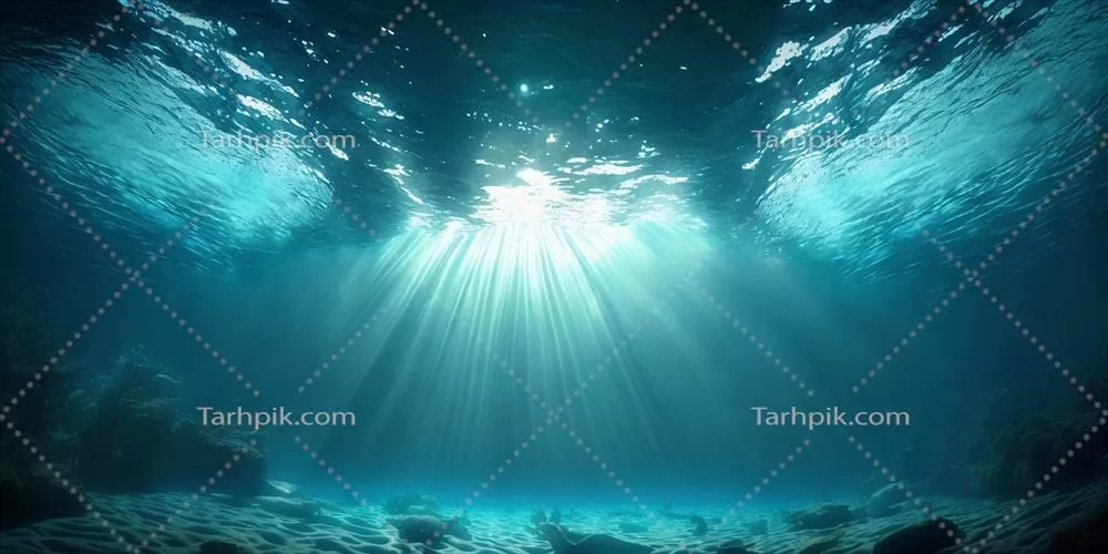 در افزایش هوش مصنوعی، دنیای زیر آب آبی را کشف کنید