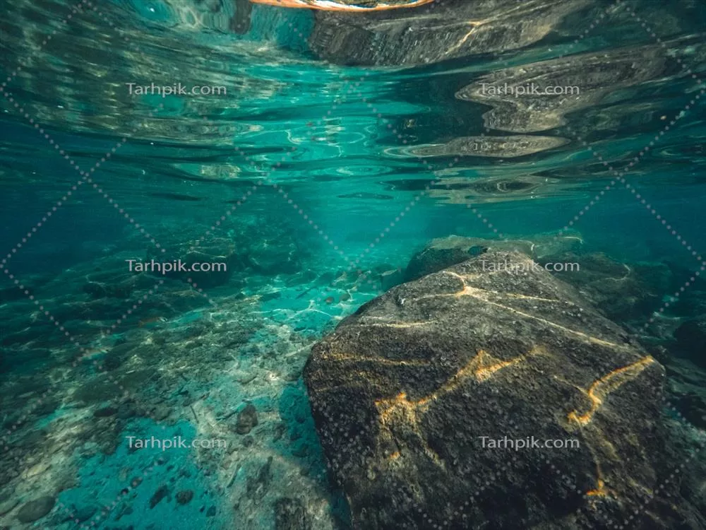 تجربه زندگی زیر آب در سواحل زیبا و رویایی جزایر