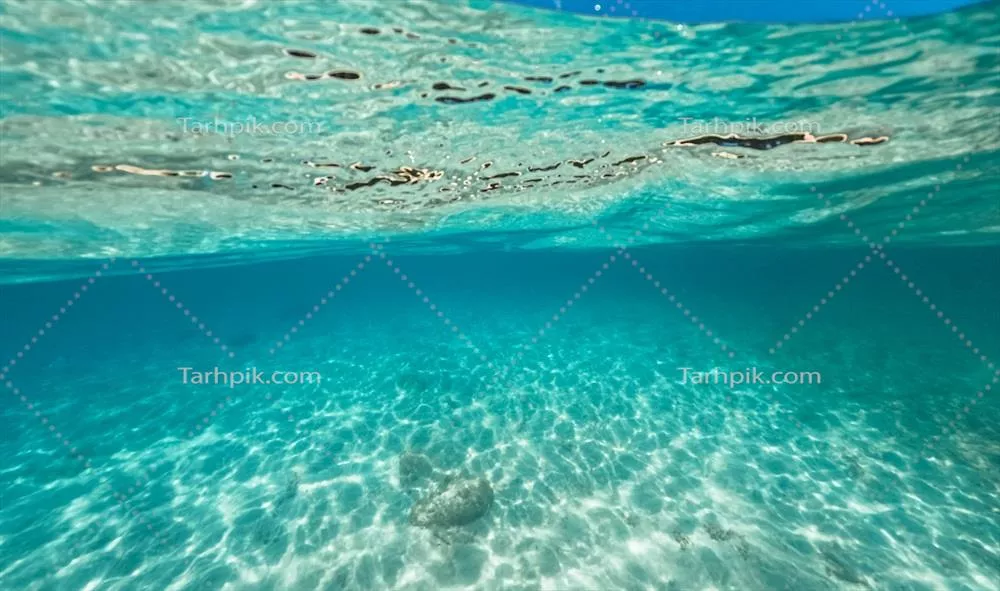 جزیره استوایی با نخل و دنیای زیر آب شگفت‌انگیز آن