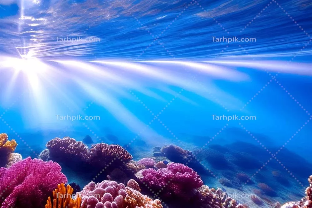 صحنه زیر آب: دنیای اقیانوس و صخره های مرجانی با زیبایی های زیر آب
