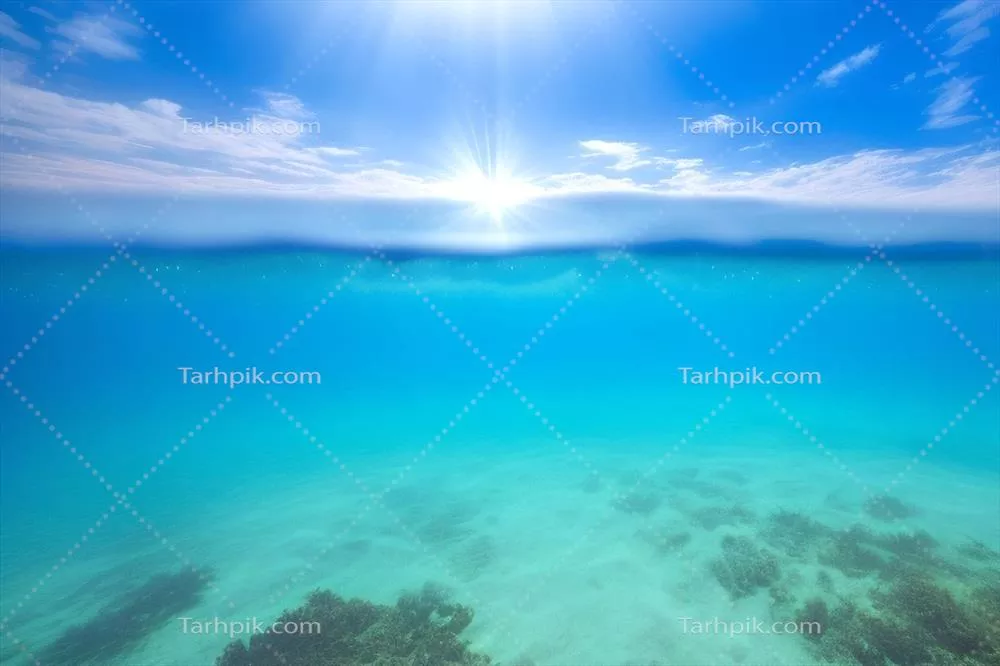 صحنه زیر آب: دنیای زیبای اقیانوس و مرجان ها در عمق دریا