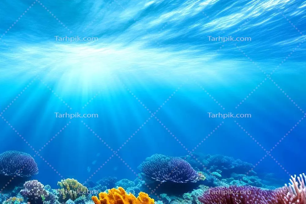 صحنه زیر آب: دنیای اقیانوس و مرجانها در اعماق دریا