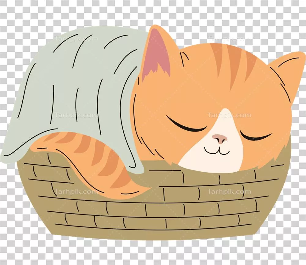 گربه ای که در سبد خوابیده است: لحظه ای آرام و دلنشین