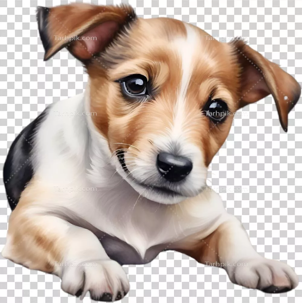 تصویر زیبا و با جذابیت از یک جک راسل تریر تولید شده با هوش مصنوعی