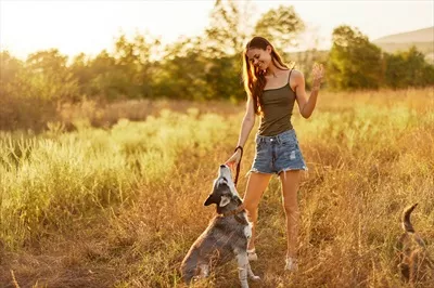 زن و سگ هاسکی اش در حال دویدن و قدم زدن شاداب در پارک در غروب پاییز