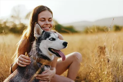 زن و سگ هاسکیاش در حال قدم زدن شاداب در پارک در غروب پاییز