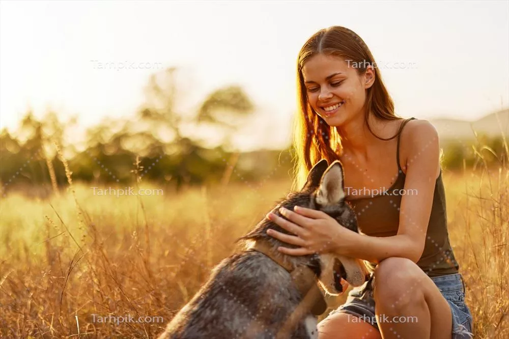 زن و سگ هاسکیاش در حال دویدن و پیادهروی شاداب در پارک در غروب پاییز