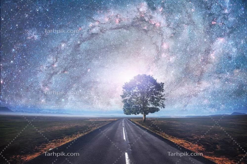 راه آسفالتی و درخت تنها در زیر آسمان پرستاره شب