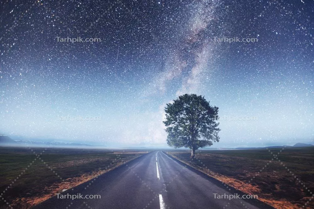 جاده آسفالتی و درخت تنهایی زیر آسمان پرستاره شب
