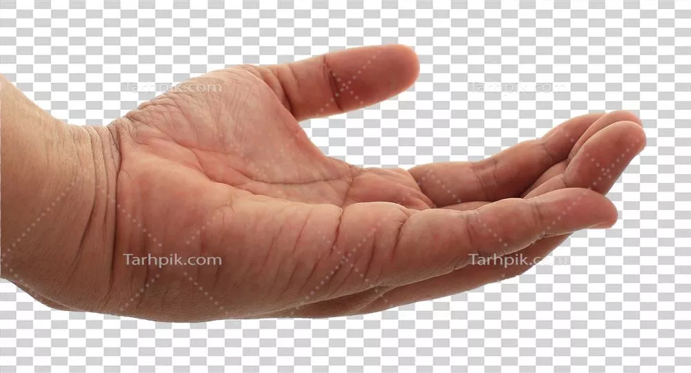 فایل تصویر دستان بر روی پس زمینه شفاف با کیفیت عالی