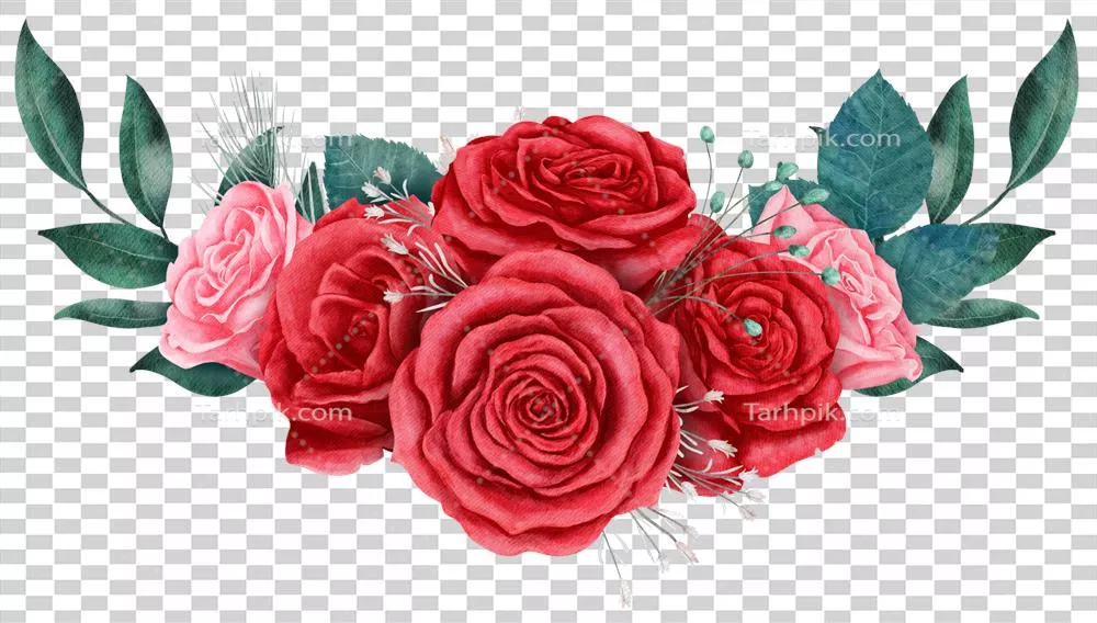 بوکِت گل رز آبرنگی برای ولنتاین: زیبایی بی‌نظیر عشق
